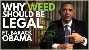 プリンスエア、Prince Ea、Why Weed Should Be Legal 