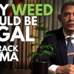 Prince Ea「WHY WEED SHOULD BE LEGAL ft Barack Obama」の詞を日本語訳！米大統領へ大麻合法化を訴える♪